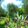 Отель Scenic Holiday Home in Tricase Amidst Olive Trees, фото 20