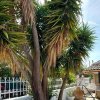 Отель a Flower House in Corfu Close to Beach and Town, фото 15