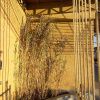 Отель Albergo Cantine Ascheri, фото 20