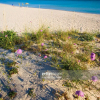 Отель Villetta Luxury A 100 Metri Dalla Spiaggia Di Porto Cesareo, фото 18