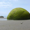 Отель Moeraki Boulders Holiday Park & Motel, фото 8