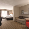 Отель Country Inn & Suites by Radisson, Georgetown, KY, фото 4