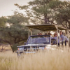 Отель Okapuka Safari Lodge, фото 27