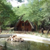 Отель Modikgweng Lodge, фото 11
