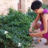 Отель Agriturismo Masseria Galatea, фото 23