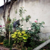 Отель Dali Flower Inn, фото 8