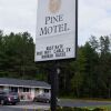 Отель Pine Motel, фото 4