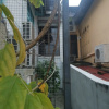 Отель Sojourn Beds & Cafe - Hostel, фото 16