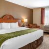 Отель Comfort Inn Williamsport, фото 14