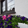 Отель Spacious Holiday Home in Menkhausen near Ski Area, фото 1