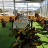 Отель Colca Andina Inn, фото 12