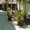 Отель Dolphin Suites & Wellness Curacao, фото 40
