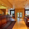 Отель Mansfield Hotel, фото 1