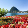Отель Queen Home in Lugano, фото 22
