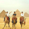Отель Pyramids View Studios, фото 15