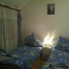 Отель Pensiunea Phoenix, фото 6