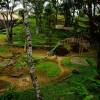 Отель Fort Munnar, фото 21