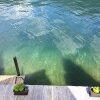 Отель Direct on Lugano Lake: Take a Swim From Your Villa, фото 22