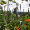 Отель Cosy Villa in Kolocep With Garden, фото 13