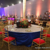Отель The Utsav Grand Banquets & Resort, фото 4