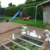 Отель Shannonside House Bed and Breakfast, фото 13