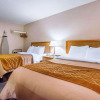 Отель Comfort Inn, фото 1