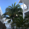 Отель Terracaribe Hotel - In Cancun (Downtown Cancun), фото 20