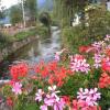 Отель Mansarda Dolomiti, фото 11