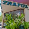 Отель Traful, фото 1