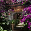 Отель Blossom Hill Inn Lijiang Springland, фото 1