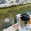 Отель Deqing, Mogan Mountain, Mo see Rainbow Homestay, фото 13