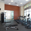 Отель Hampton Inn & Suites Jacksonville / Orange Park, фото 20