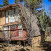 Отель Foxwoods Cabin -1055 by Big Bear Vacations, фото 1