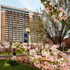 Отель Holiday Inn Rosslyn @ Key Bridge, фото 15