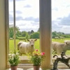 Отель Battens Farm Cottages - B&B and Self-Catering Accommodation, фото 5