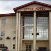 Отель Lotus Hotels and Suites, фото 2