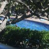 Отель 300 Steps to Beach Napili Shores Pool & BBQ, фото 7