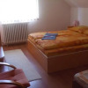 Отель Pensiunea Ildikó, фото 2