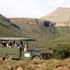 Отель Mount Camdeboo Private Game Reserve by NEWMARK, фото 45