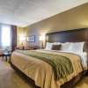 Отель Comfort Inn, фото 23