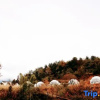 Отель Chongqing Xingyu Xingyuan Tent Homestay please, фото 12