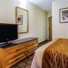 Отель Comfort Inn East, фото 25