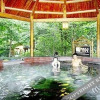 Отель Longwan Hot Springs Esort Mt.lushan Jiangxi, фото 23