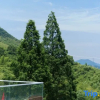 Отель Yunfan Mogan Designer Light Luxury Homestay, фото 16