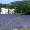 Отель Mas Les Echelettes, фото 20