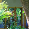 Отель Gili Bagus Village, фото 2