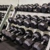 Отель Quality Inn & Suites, фото 15