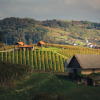 Отель Vineyard Cottage Sunny Hill, фото 14