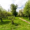 Отель Urban Apartment in Pravtshagen With Garden, фото 17