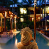 Отель Hibiscus Resort & Spa, фото 19